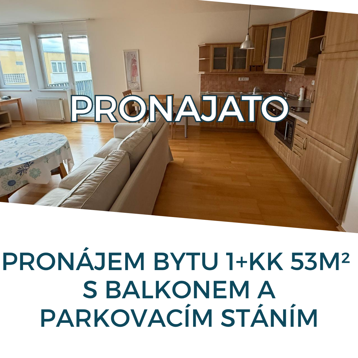 jerabinova_-_pronajato