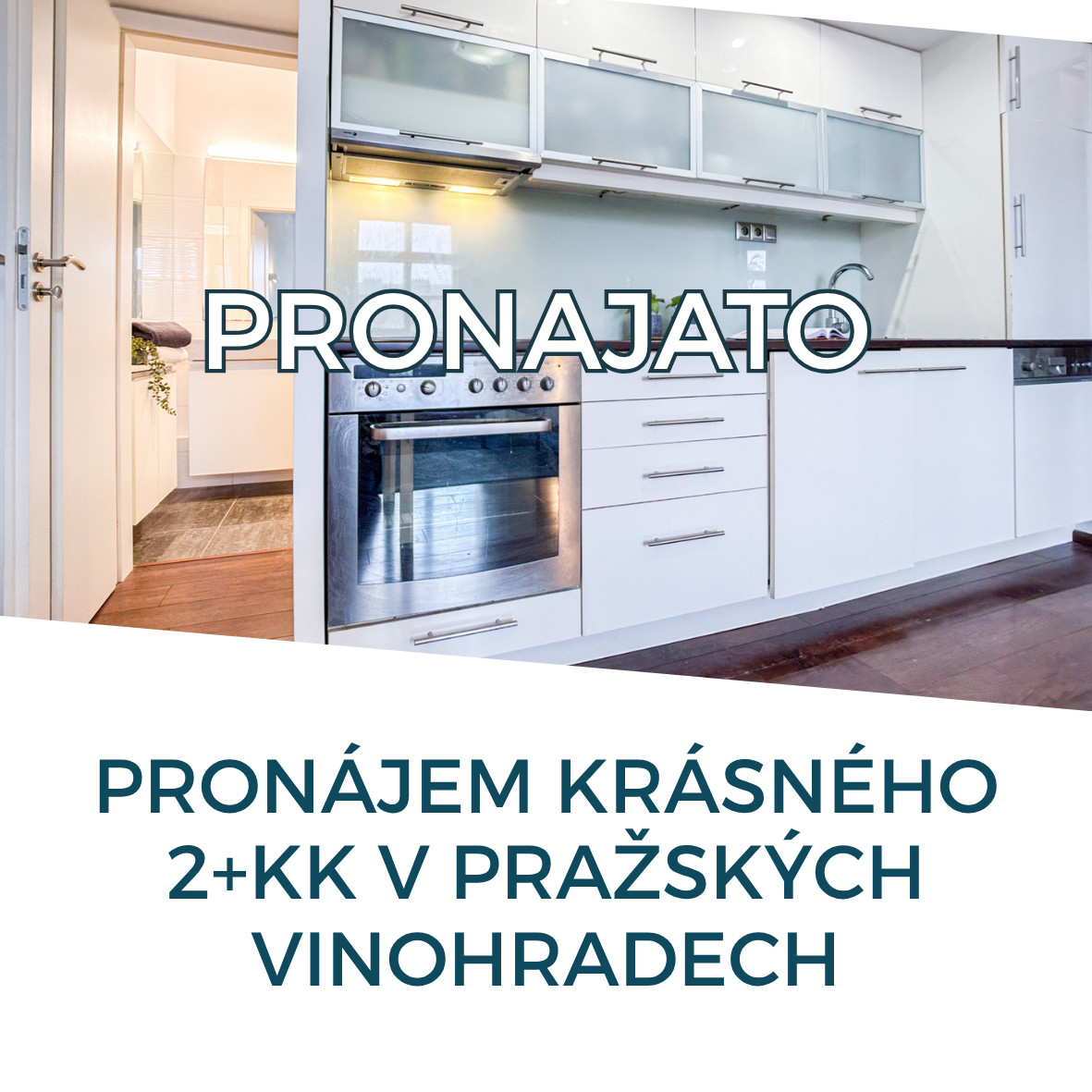 pisecka_-_pronajato